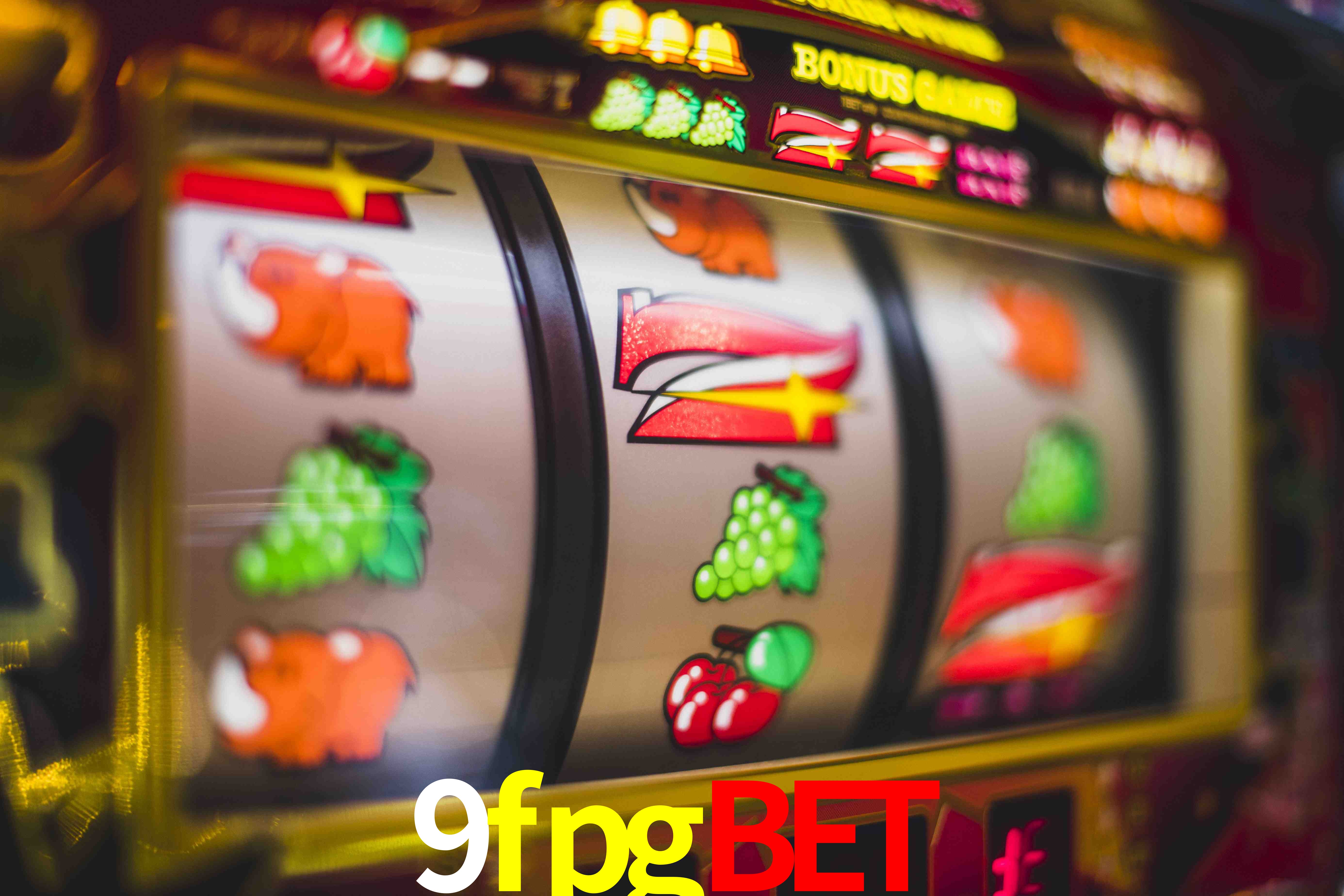 Live Casino 9fpgbet